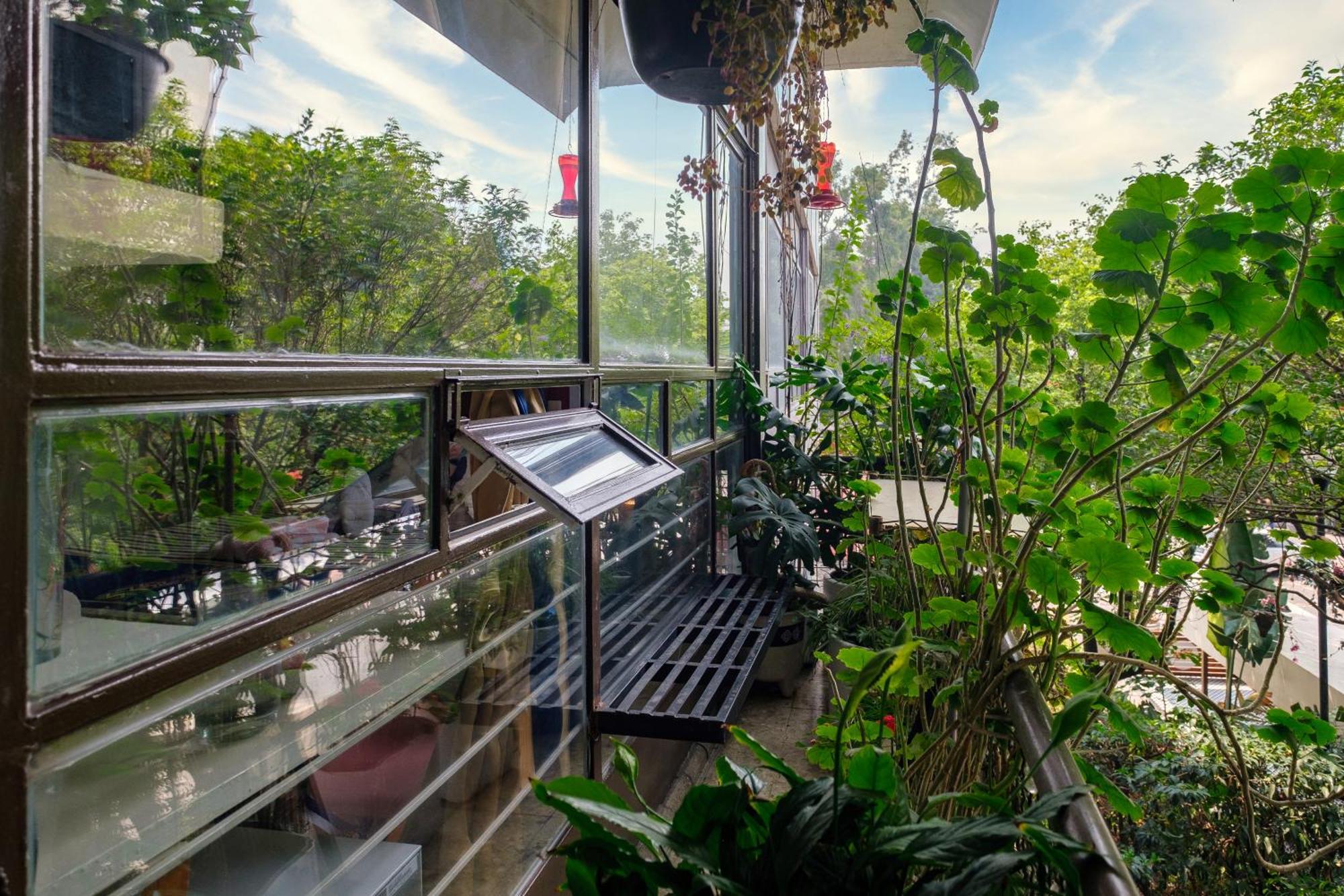 Casa Itzae B&B Polanquito Dog Friendly Мексико Сити Екстериор снимка