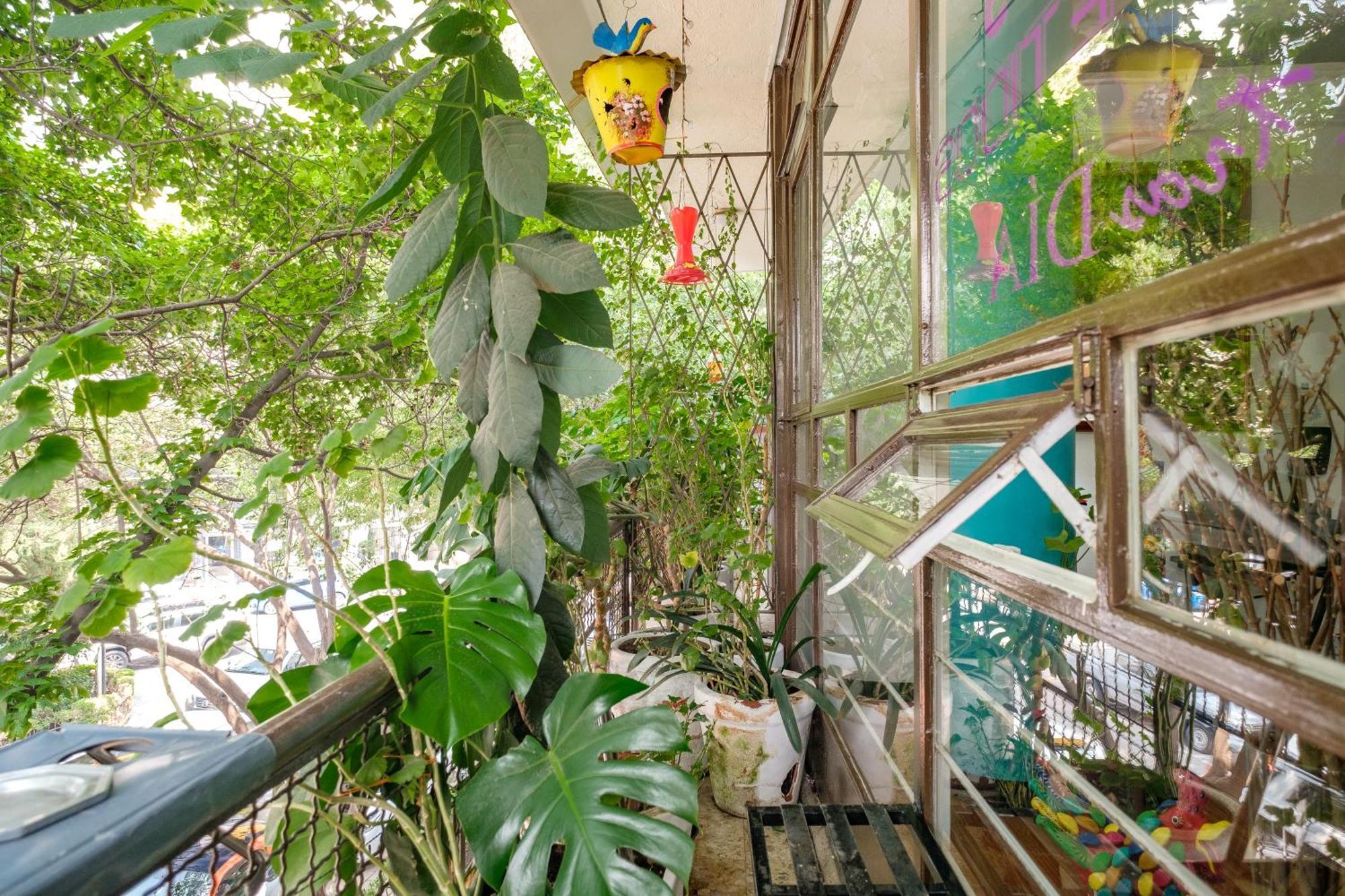 Casa Itzae B&B Polanquito Dog Friendly Мексико Сити Екстериор снимка
