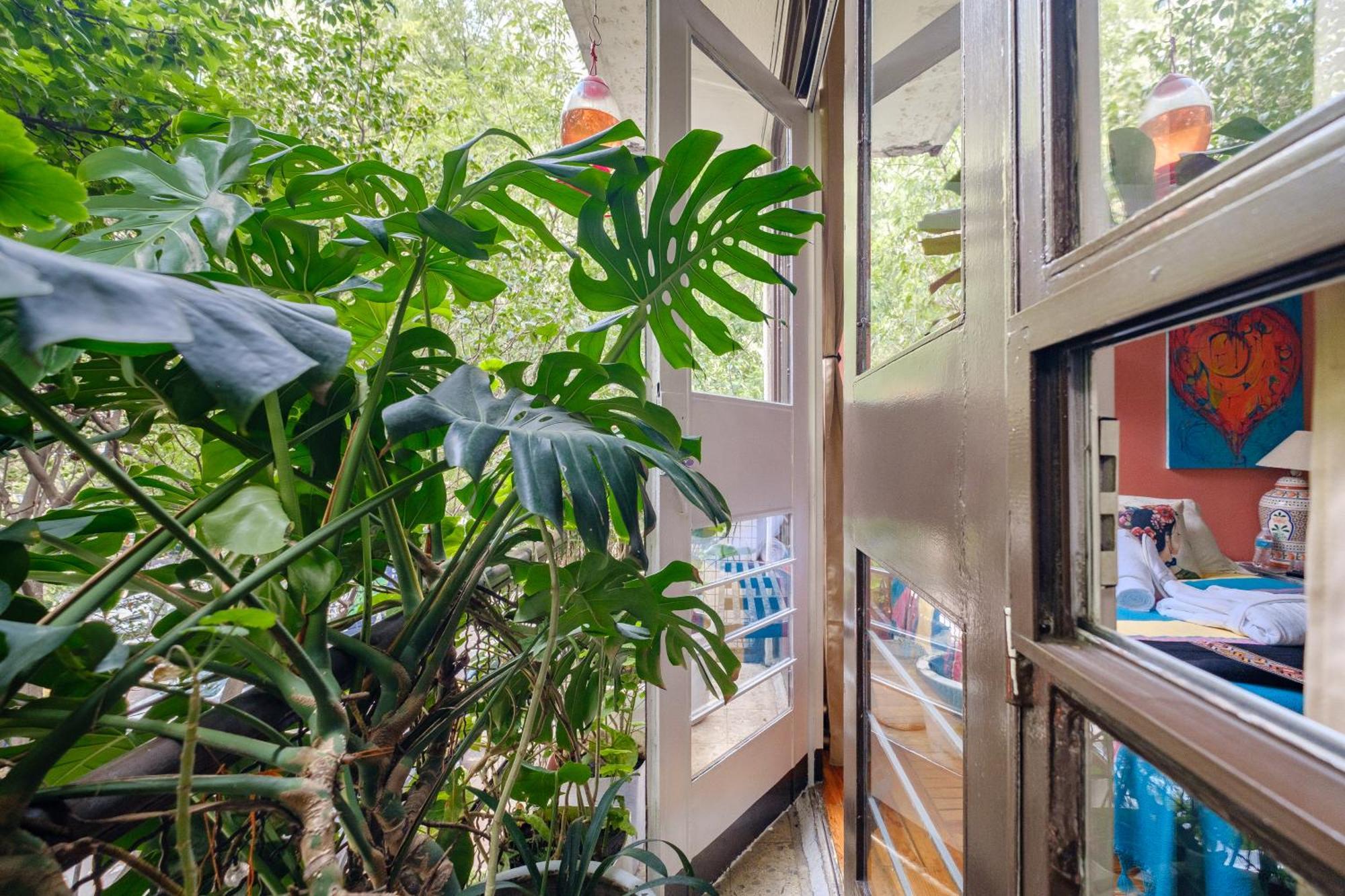 Casa Itzae B&B Polanquito Dog Friendly Мексико Сити Екстериор снимка